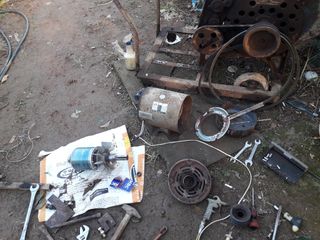 바위돌님의 들깨 · 자유게시판 작성글 사진