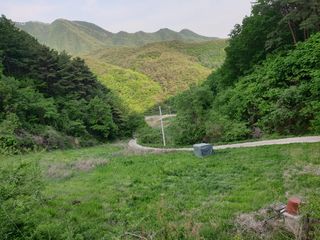 백병기 님의 복숭아 · 자유게시판 작성글 사진