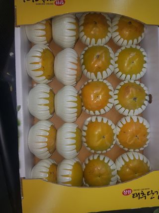 자연애 단감농원님의 작성글 사진