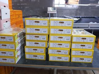 자연애 단감농원님의 작성글 사진