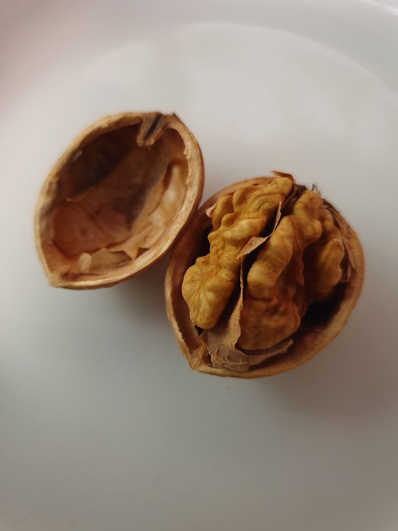 장터 상품 [국산호두 1kg 25,000원] 썸네일