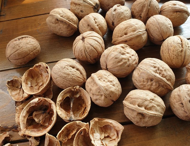 최주현님의 장터 판매 상품 [국산호두 1kg 25,000원] 첨부 사진