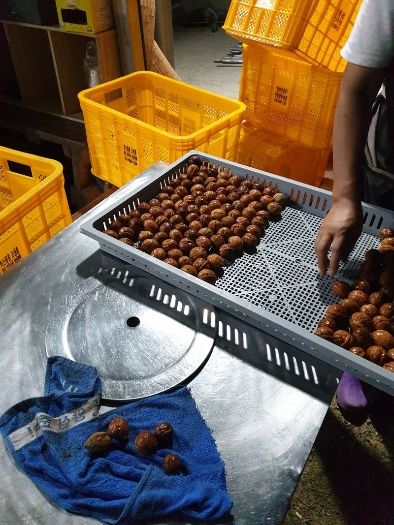 최주현님의 장터 판매 상품 [국산호두 1kg 25,000원] 첨부 사진
