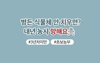 복숭아 농사도우미님의 복숭아 · 농사길잡이 작성글 사진