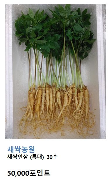 강진환님의 장터 판매 상품 [스테비아 새싹인삼 3만원,5만원] 첨부 사진