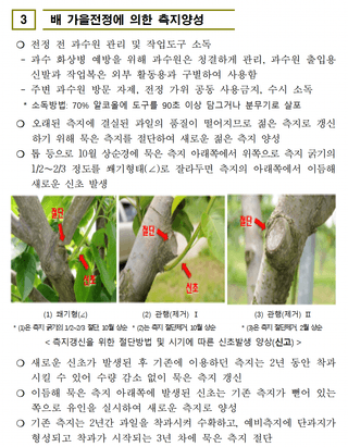 벼 농사도우미님의 벼 · 농사길잡이 작성글 사진