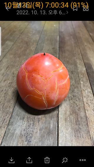 용소골님의 감 · 병해충상담 작성글 사진