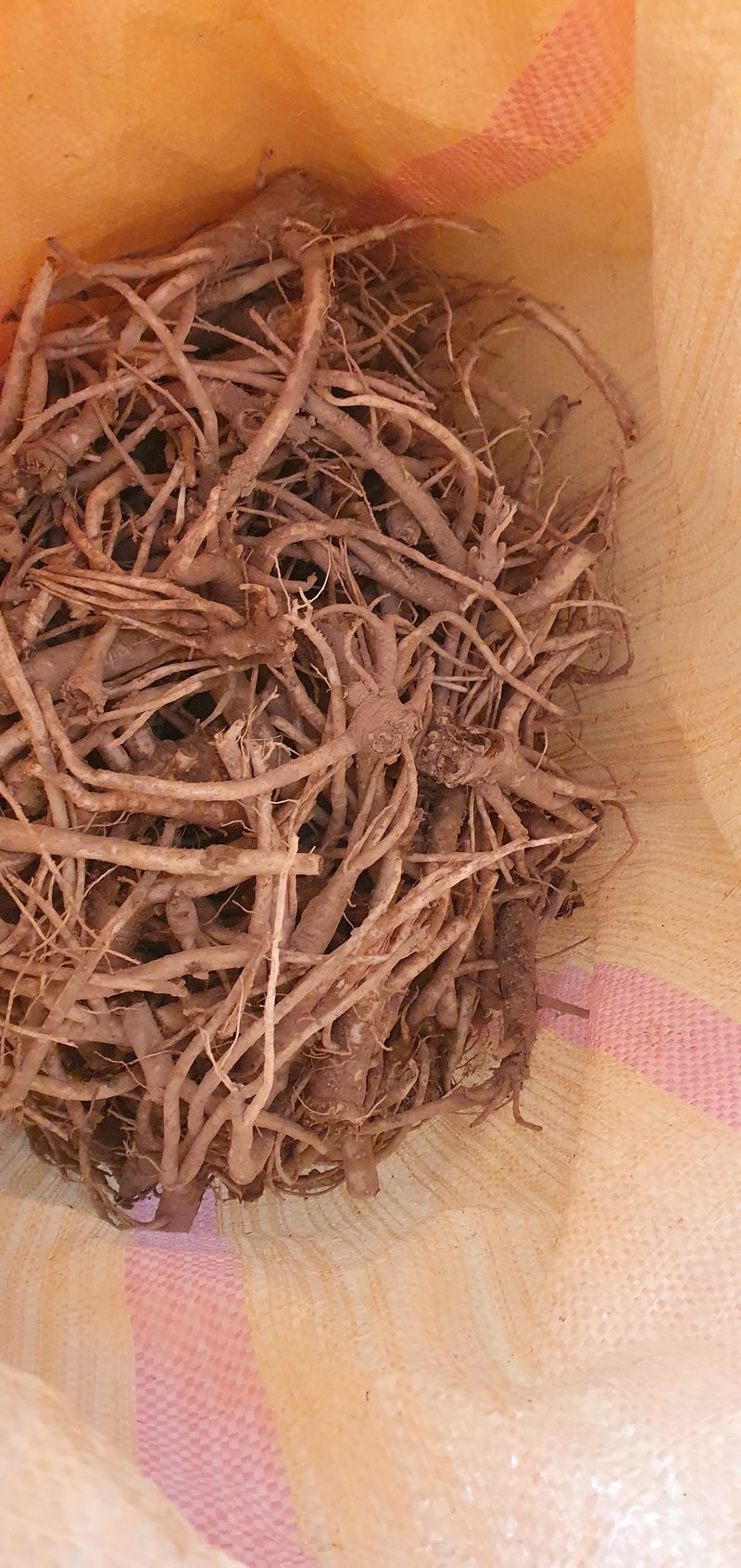 1.2.3.농원님의 장터 판매 상품 [슈퍼으뜸약도라지 9,000원/1kg] 첨부 사진