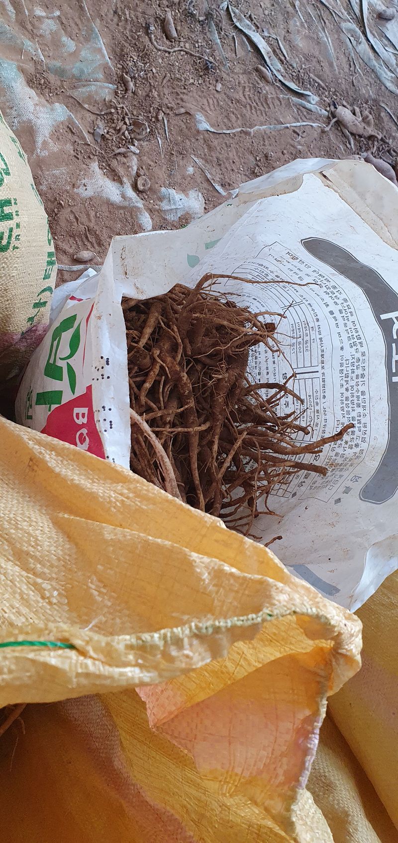 장터 상품 [슈퍼으뜸약도라지 9,000원/1kg] 썸네일