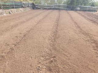 김권수님의 호박 · 자유게시판 작성글 사진