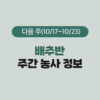 배추 농사도우미님의 배추 · 비료•농약 작성글 사진