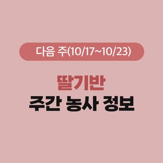 딸기 농사도우미님의 딸기 · 온도 관리 작성글 사진