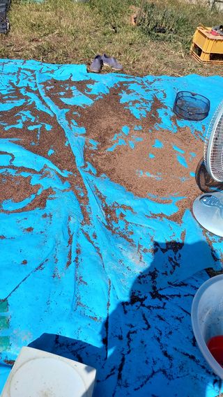 성하 토마토님의 작성글 사진