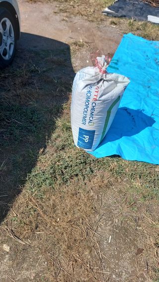 성하 토마토님의 작성글 사진