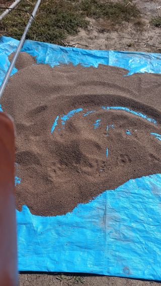 성하 토마토님의 작성글 사진