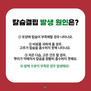알 수 없음님의 고추 · 병해충상담 작성글 사진