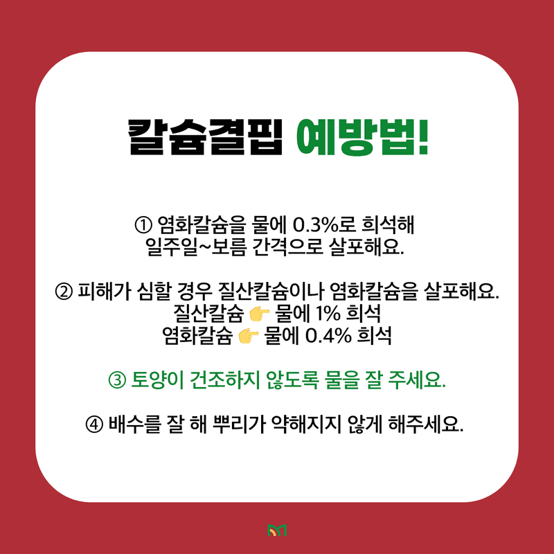 알 수 없음님의 농사정보 썸네일