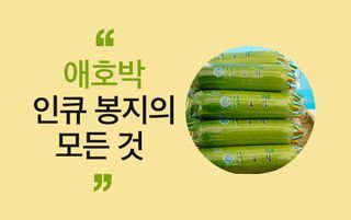 호박 농사도우미님의 호박 · 농사길잡이 작성글 사진