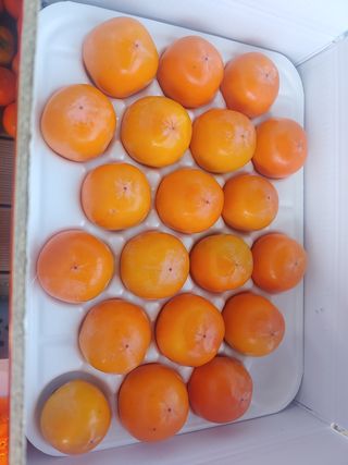 천승준님의 작성글 사진