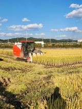 팜모닝 호박·자유게시판 게시글 이미지