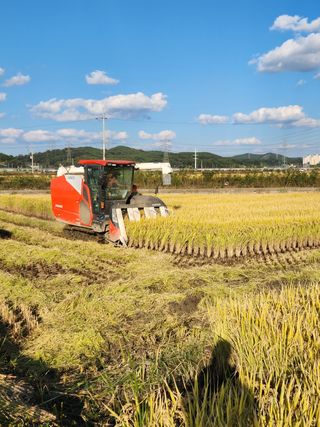귀농알이님의 호박 · 자유게시판 작성글 사진