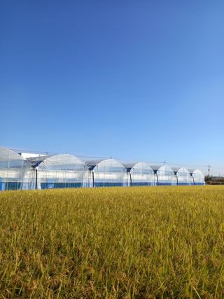 김해농부허외순님의 사과 · 일상 작성글 사진