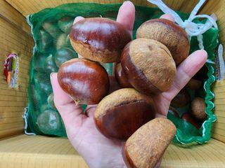 알 수 없음님의 작성글 사진