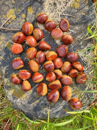 알 수 없음님의 작성글 사진