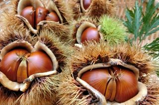 알 수 없음님의 작성글 사진