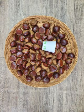 알 수 없음님의 작성글 사진