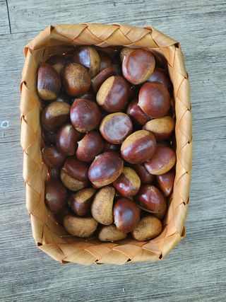 알 수 없음님의 작성글 사진