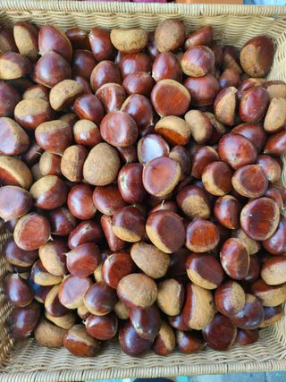 알 수 없음님의 작성글 사진