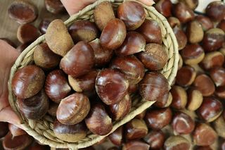 알 수 없음님의 작성글 사진