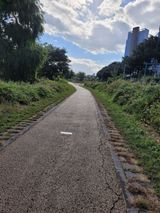 팜모닝 벼·자유게시판 게시글 이미지