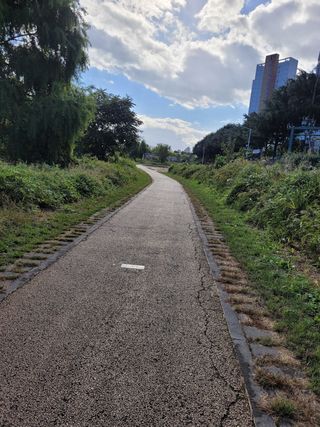 서봉열님의 벼 · 자유게시판 작성글 사진