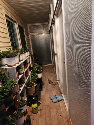 Preotu님의 딸기 · 일상 작성글 사진