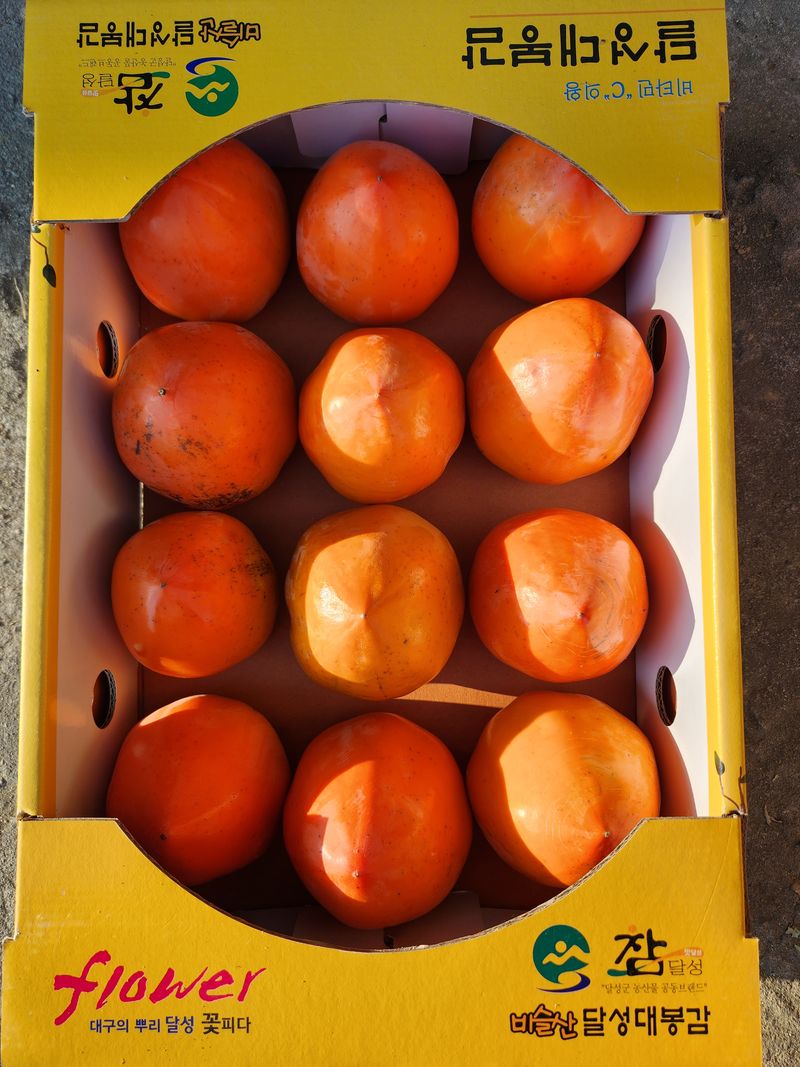 김호영님의 장터 판매 상품 [대봉감 ] 첨부 사진