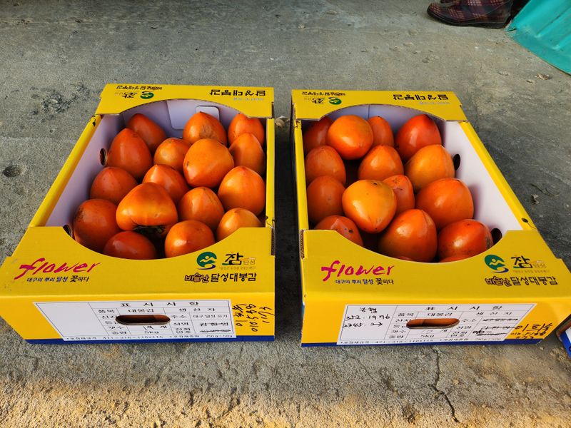 김호영님의 장터 판매 상품 [대봉감 ] 첨부 사진