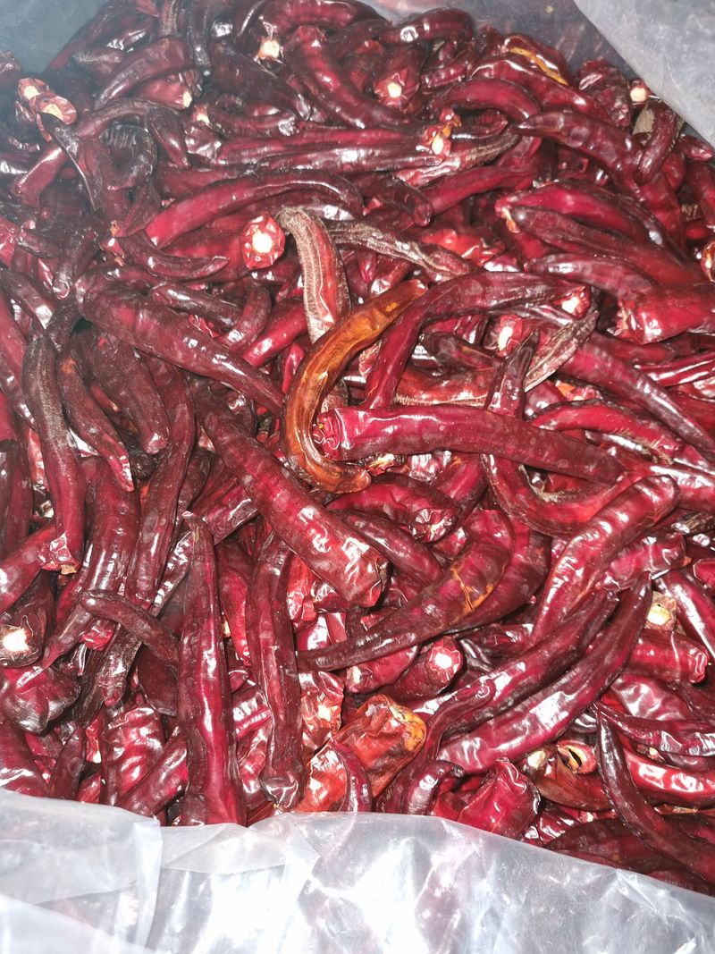 아이농장님의 장터 판매 상품 [🌶 해남 고춧가루(화건) 🌶 한근(600g) -14000 5근이상 무료배송!] 첨부 사진