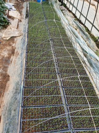 김권수님의 오이 · 자유게시판 작성글 사진