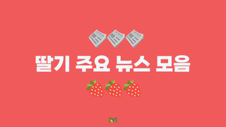 딸기 농사도우미님의 딸기 · 일상 작성글 사진