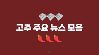 고추 농사도우미님의 고추 · 일상 작성글 사진