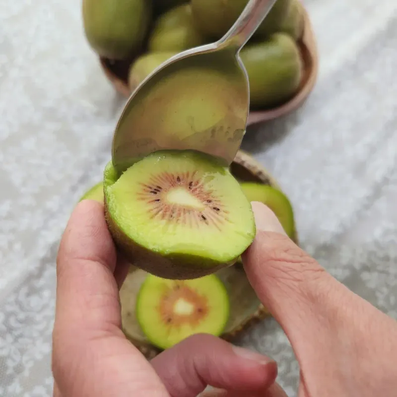 가근한제주(김상호)님의 장터 판매 상품 [제주 레드키위 3kg 벌크포장, 5kg 용기포장 됩니다.] 첨부 사진