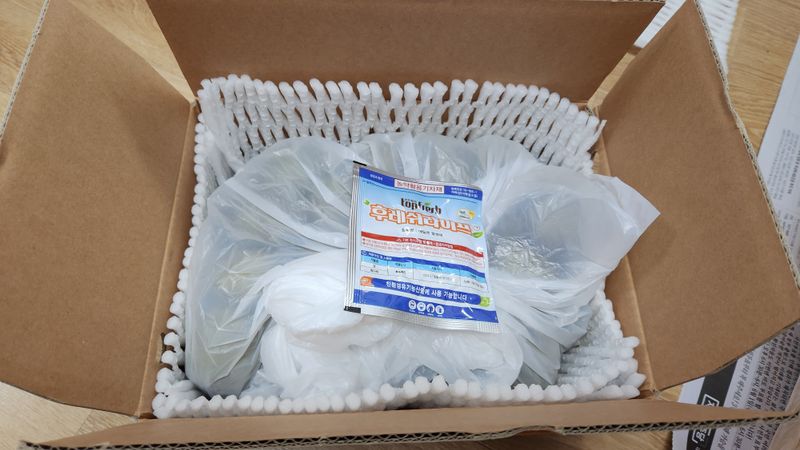 가근한제주(김상호)님의 장터 판매 상품 [제주 레드키위 3kg 벌크포장, 5kg 용기포장 됩니다.] 첨부 사진