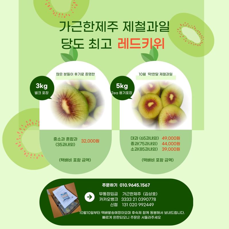 가근한제주(김상호)님의 장터 판매 상품 [제주 레드키위 3kg 벌크포장, 5kg 용기포장 됩니다.] 첨부 사진