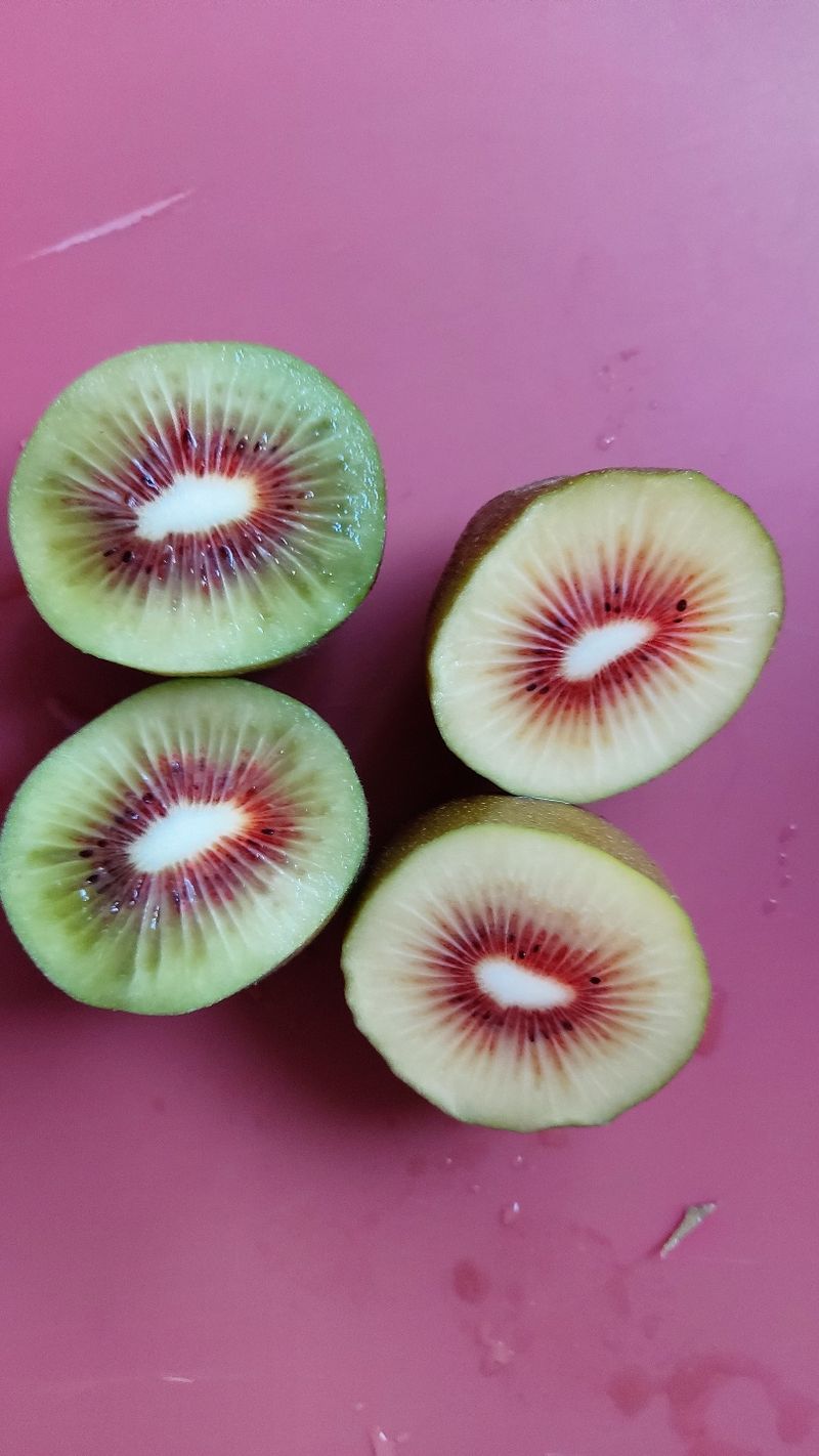 가근한제주(김상호)님의 장터 판매 상품 [제주 레드키위 3kg 벌크포장, 5kg 용기포장 됩니다.] 첨부 사진