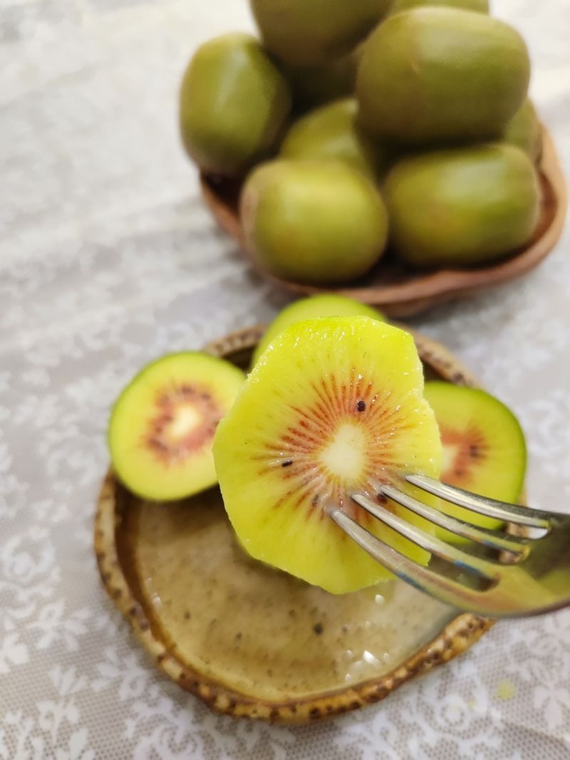 가근한제주(김상호)님의 장터 판매 상품 [제주 레드키위 3kg 벌크포장, 5kg 용기포장 됩니다.] 첨부 사진