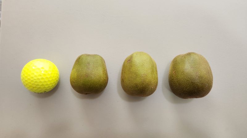 가근한제주(김상호)님의 장터 판매 상품 [제주 레드키위 3kg 벌크포장, 5kg 용기포장 됩니다.] 첨부 사진