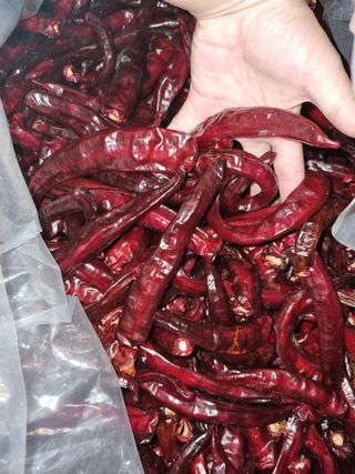 아이농장님의 작성글 사진