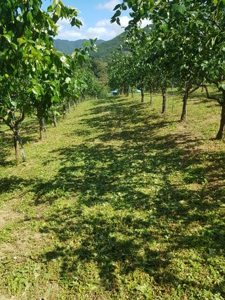 홍상옥님의 작성글 사진